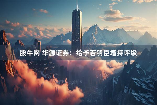 股牛网 华源证券:给予若羽臣增持评级